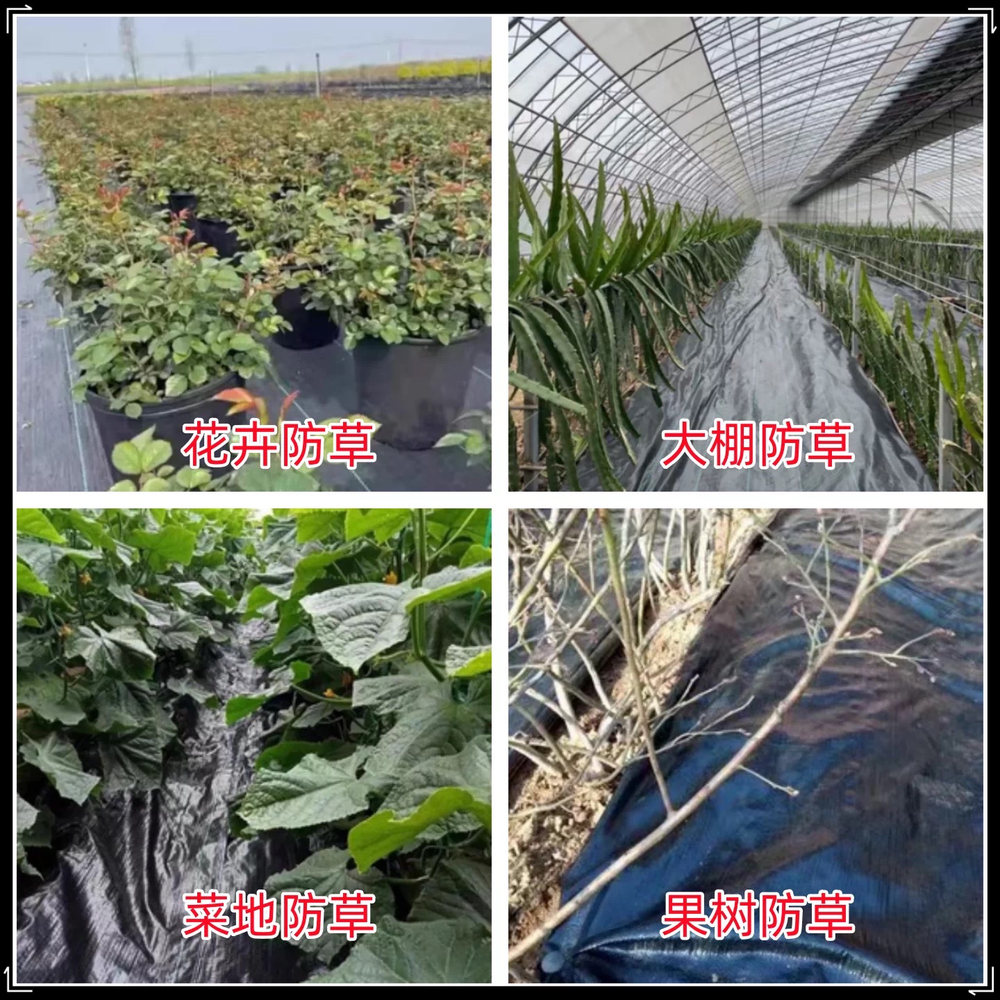 鹤壁市地膜防草布 - 厂家