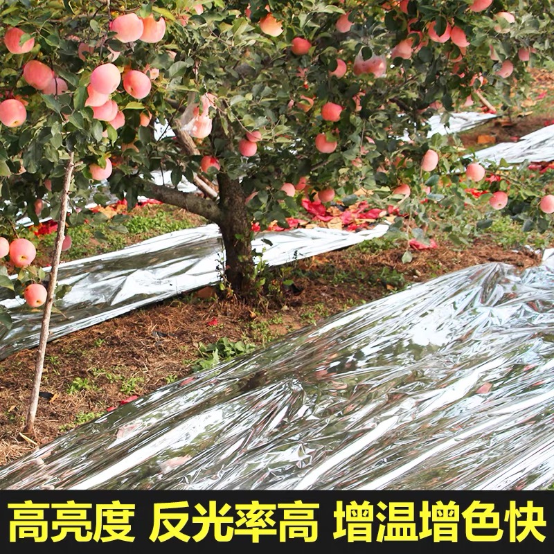 鹤壁市农用薄膜果树反光膜 - 推荐